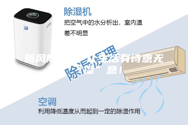 新風除濕機 讓生活有詩意無“濕”意！
