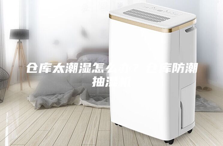 倉庫太潮濕怎么辦？倉庫防潮抽濕機