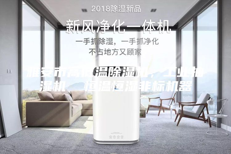 雅安市高低溫除濕機(jī)，工業(yè)抽濕機(jī)  恒溫恒濕非標(biāo)機(jī)器