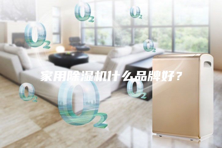 家用除濕機什么品牌好？