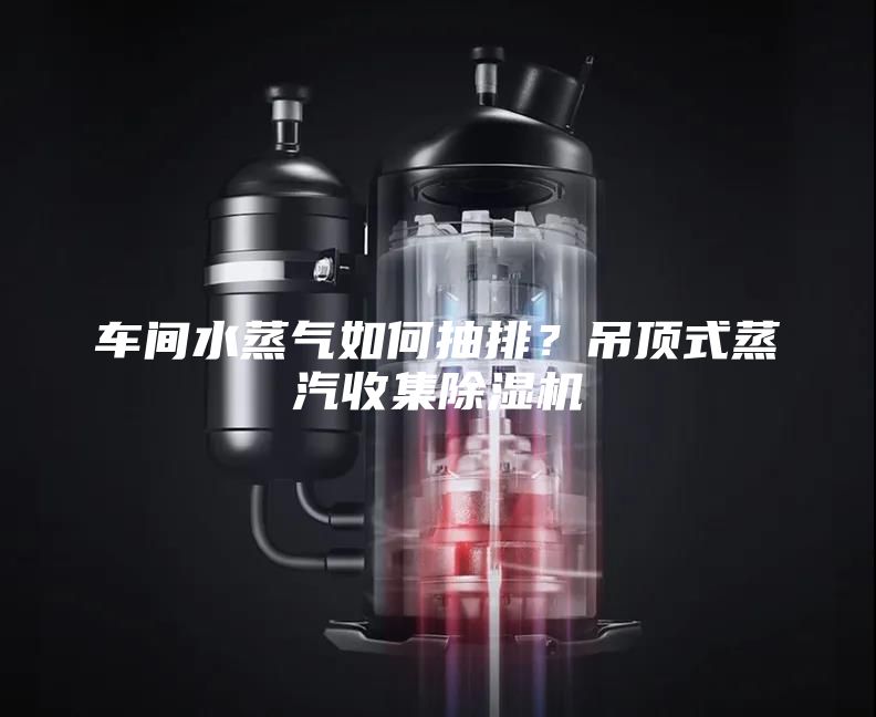 車間水蒸氣如何抽排？吊頂式蒸汽收集除濕機(jī)