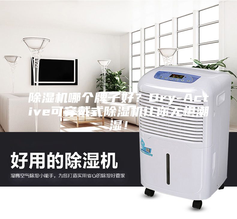 除濕機哪個牌子好？Dry-Active可穿戴式除濕機讓你無懼潮濕！