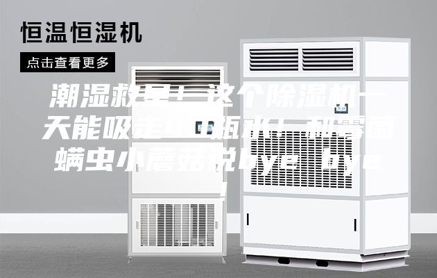 潮濕救星！這個(gè)除濕機(jī)一天能吸走40瓶水！和霉菌螨蟲(chóng)小蘑菇說(shuō)bye bye！