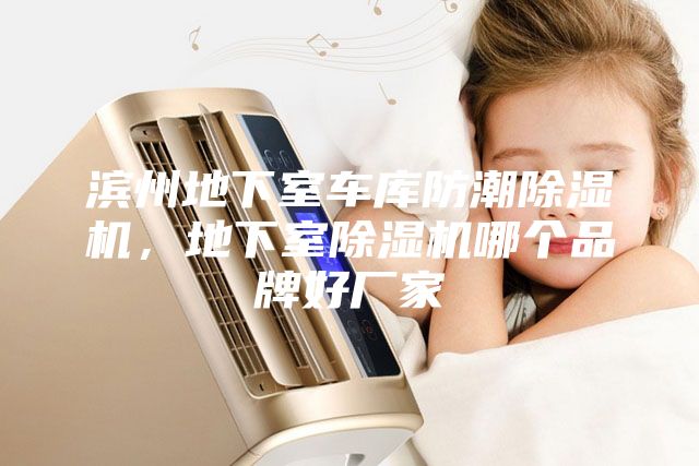 濱州地下室車庫防潮除濕機，地下室除濕機哪個品牌好廠家