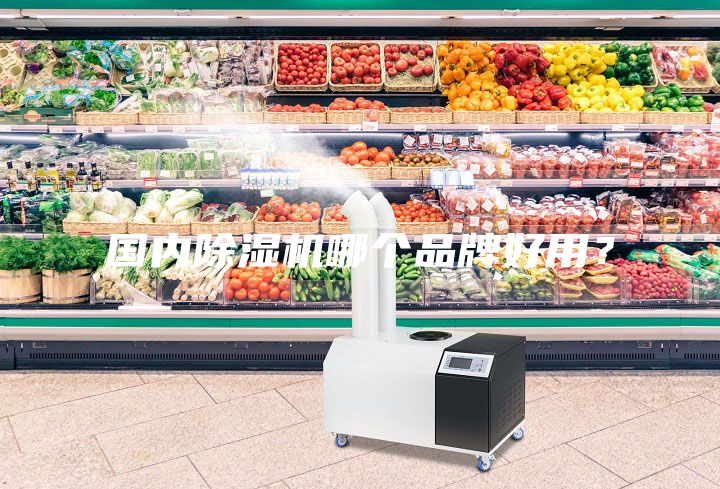 國內除濕機哪個品牌好用？