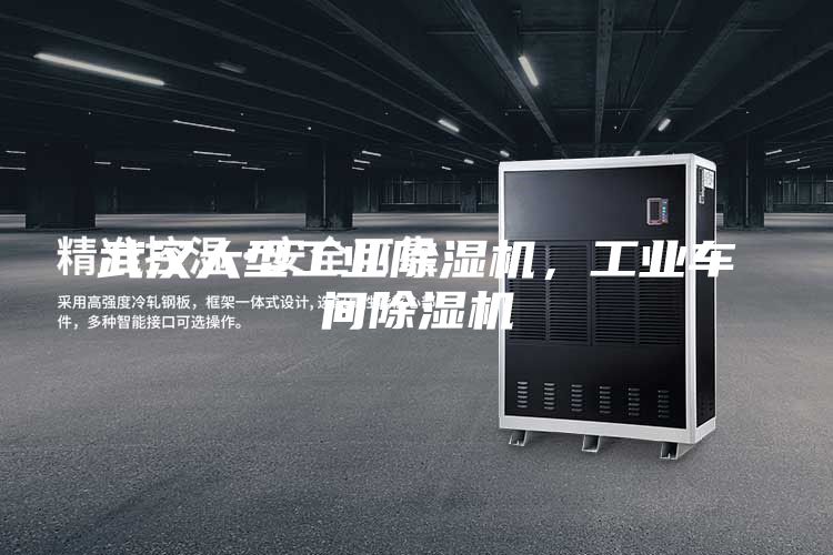 武漢大型工業除濕機，工業車間除濕機