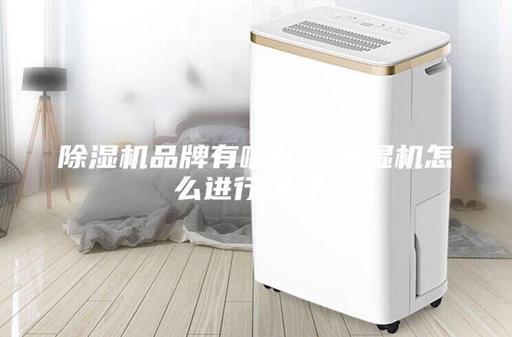 除濕機品牌有哪些？除濕機怎么進行保養？