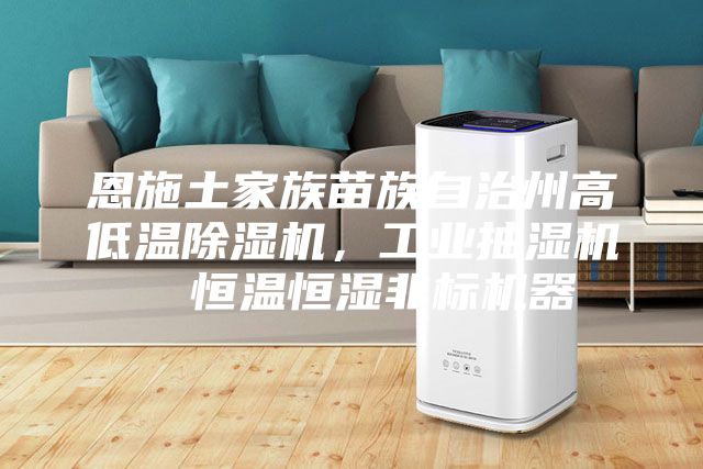 恩施土家族苗族自治州高低溫除濕機(jī)，工業(yè)抽濕機(jī)  恒溫恒濕非標(biāo)機(jī)器