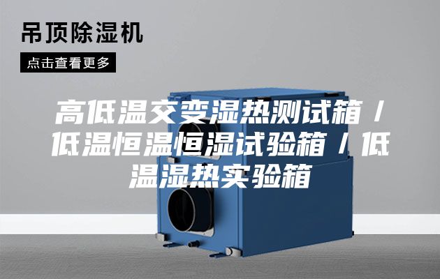 高低溫交變濕熱測試箱/低溫恒溫恒濕試驗箱/低溫濕熱實驗箱