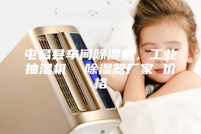 屯昌縣車間除濕機,工業(yè)抽濕機  除濕器廠家 價格