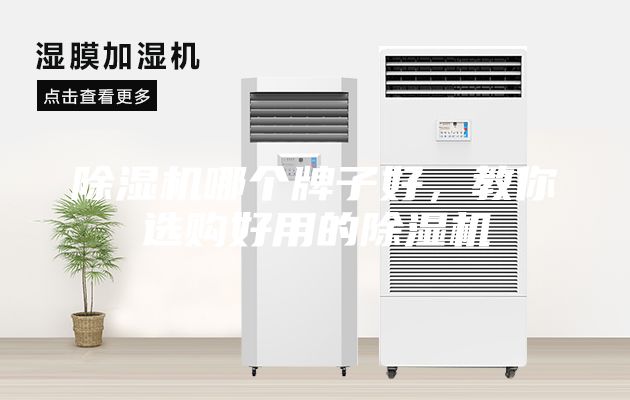除濕機哪個牌子好，教你選購好用的除濕機