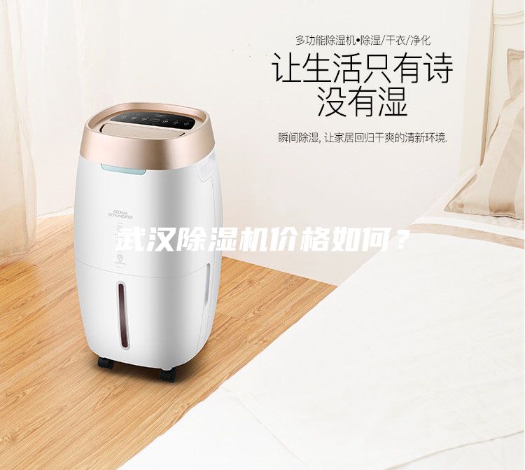 武漢除濕機價格如何？