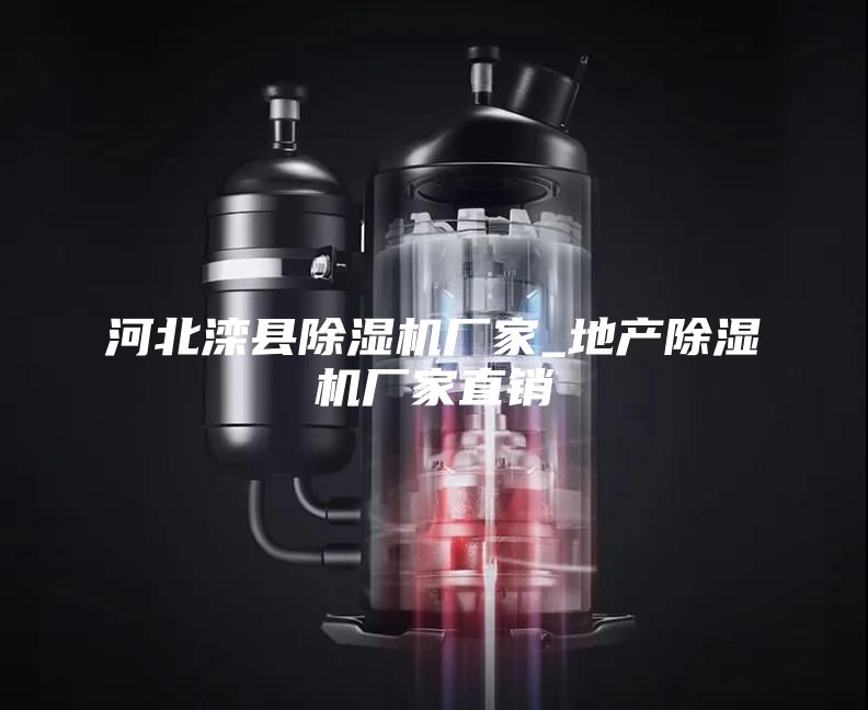 河北灤縣除濕機(jī)廠(chǎng)家_地產(chǎn)除濕機(jī)廠(chǎng)家直銷(xiāo)