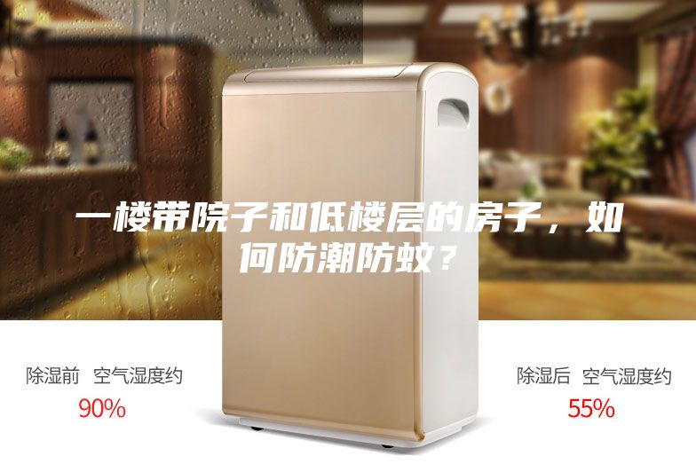 一樓帶院子和低樓層的房子，如何防潮防蚊？