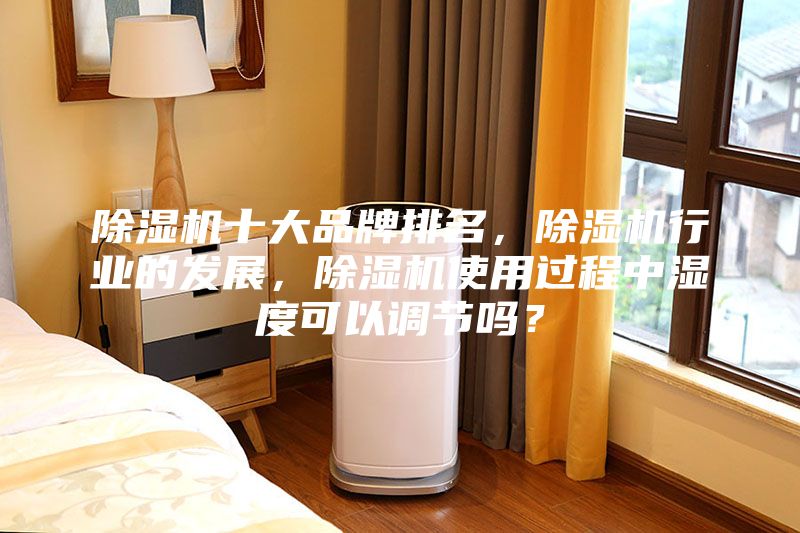 除濕機十大品牌排名，除濕機行業的發展，除濕機使用過程中濕度可以調節嗎？