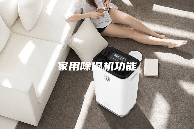 家用除濕機功能