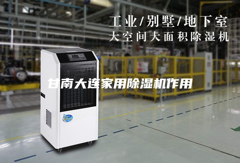甘南大連家用除濕機作用