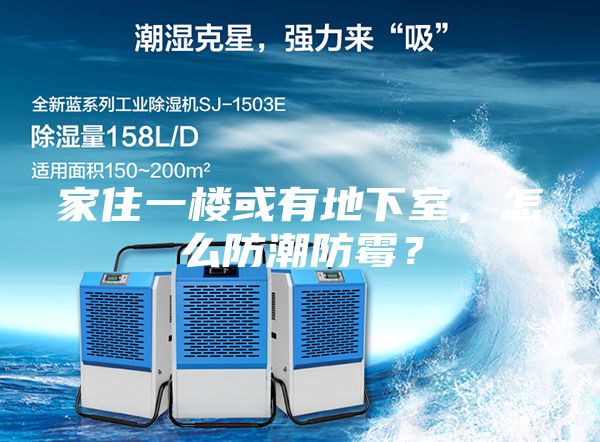 家住一樓或有地下室，怎么防潮防霉？