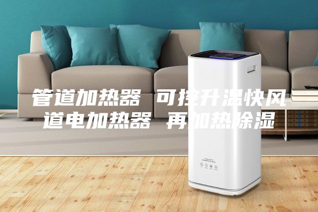 管道加熱器 可控升溫快風道電加熱器 再加熱除濕