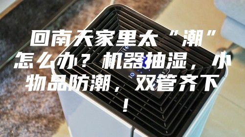 回南天家里太“潮”怎么辦?機器抽濕,小物品防潮,雙管齊下!