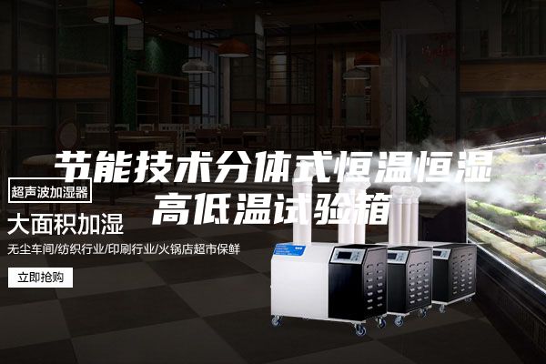 節(jié)能技術分體式恒溫恒濕高低溫試驗箱