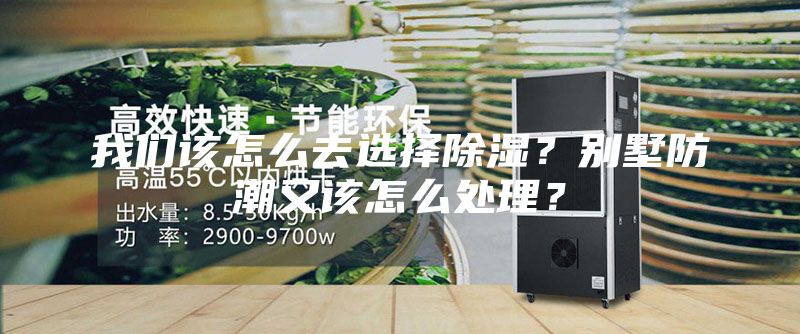 我們該怎么去選擇除濕?別墅防潮又該怎么處理?