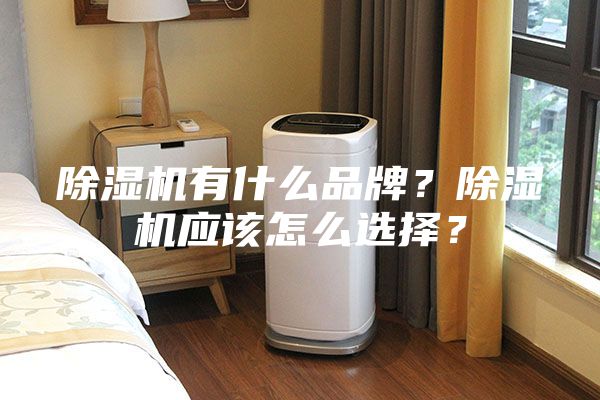 除濕機有什么品牌？除濕機應該怎么選擇？