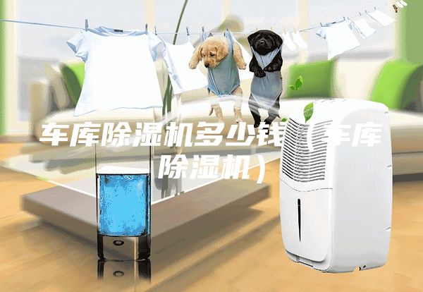 車庫除濕機多少錢(車庫除濕機)