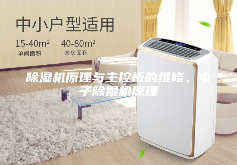 除濕機(jī)原理與主控板的維修,電子除濕機(jī)原理