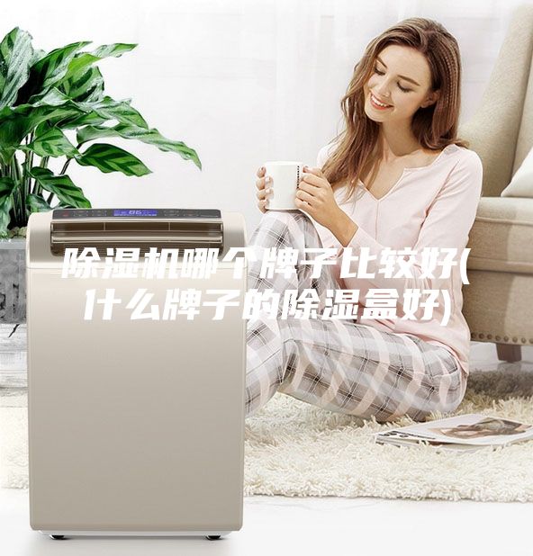 除濕機哪個牌子比較好(什么牌子的除濕盒好)