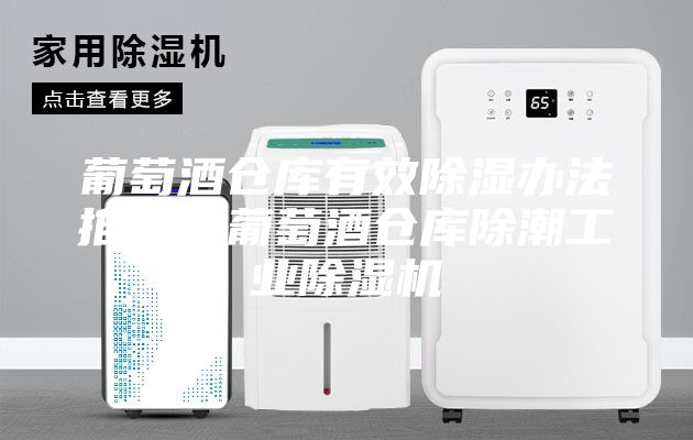 葡萄酒倉庫有效除濕辦法推薦？葡萄酒倉庫除潮工業除濕機