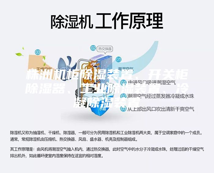 株洲機柜除濕裝置、開關柜除濕器、工業除濕裝置、冷凝除濕裝置