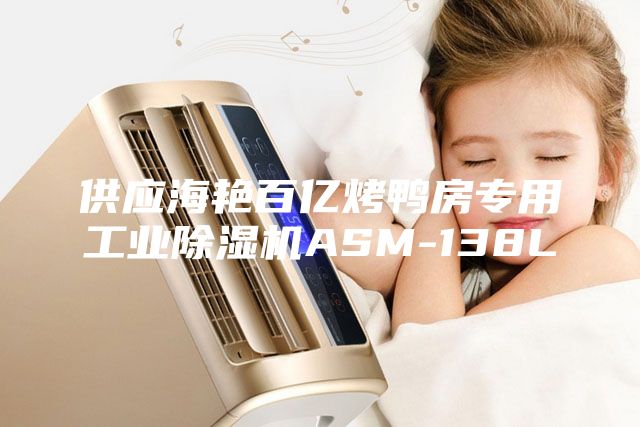 供應海艷百億烤鴨房專用工業除濕機ASM-138L