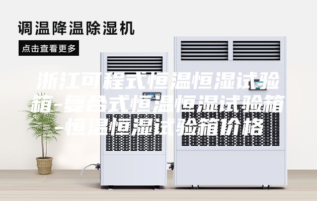 浙江可程式恒溫恒濕試驗(yàn)箱-復(fù)合式恒溫恒濕試驗(yàn)箱-恒溫恒濕試驗(yàn)箱價(jià)格