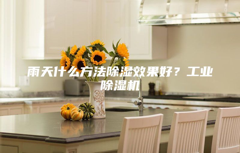 雨天什么方法除濕效果好?工業(yè)除濕機(jī)