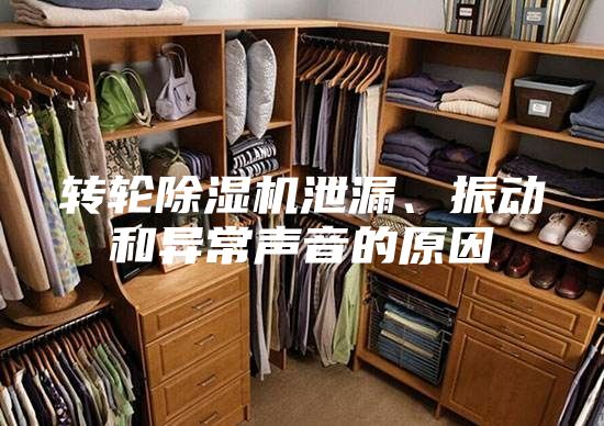 轉(zhuǎn)輪除濕機(jī)泄漏、振動和異常聲音的原因