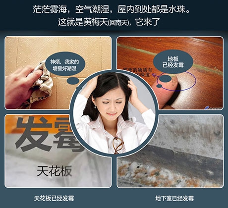 除濕機除濕效率怎么看才正確？