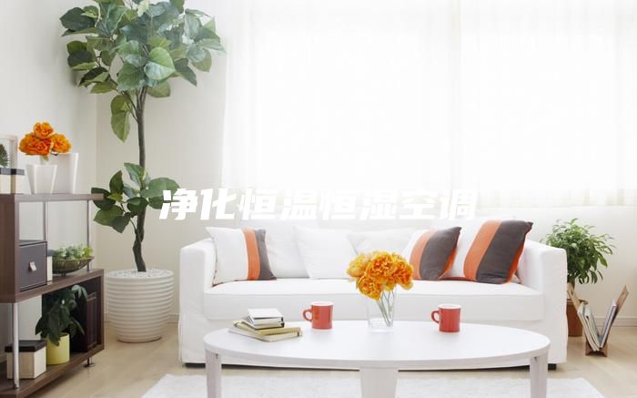 凈化恒溫恒濕空調